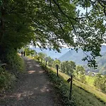 Apartament Traumurlaub In Sicht! 77qm Familiendomizil Münstertal