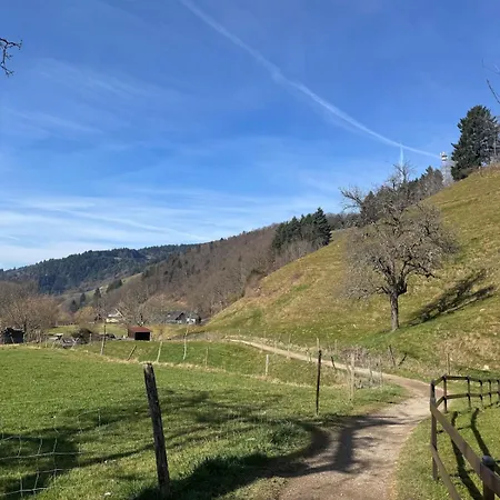 Traumurlaub In Sicht! 77qm Familiendomizil Münstertal