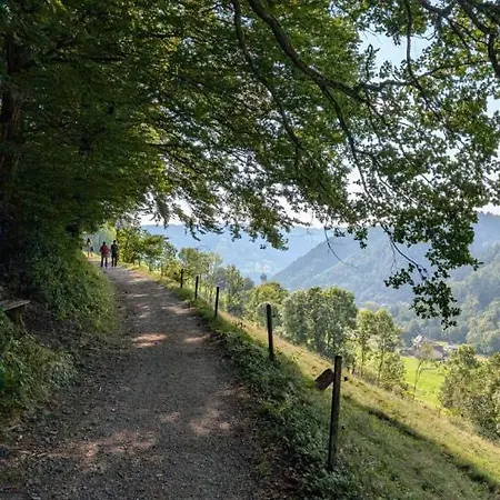 Apartment Traumurlaub In Sicht! 77qm Familiendomizil Münstertal