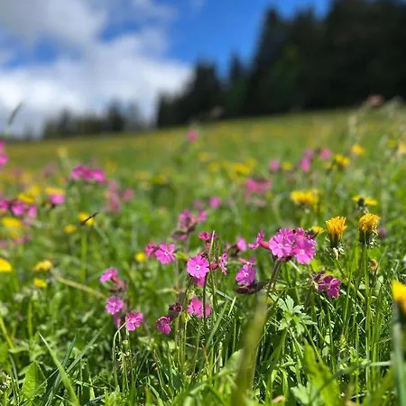 Apartamento Traumurlaub In Sicht! 77qm Familiendomizil Münstertal